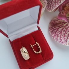 Paauksuoti auskarai "Brauun"