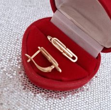 Paauksuoti auskarai "Žiogs"