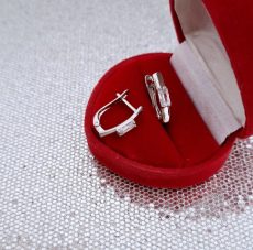 Pasidabruoti auskarai DEMO