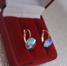 Paauksuoti auskarai su swarovskio kristalų „Felio“