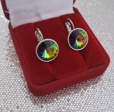 Pasidabruoti auskarai "Chamelio"