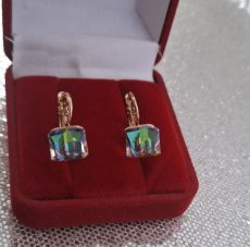 Paauksuoti auskarai "Fokus"