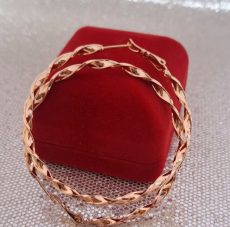 Paauksuoti auskarai rinkutės 5 cm