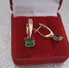 Paauksuoti auskarai 2,5cm