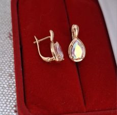 Paauksuoti medicininio metalo auskarai