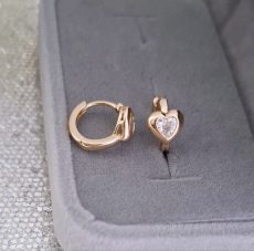 Paauksuoti  auskarai širdeles