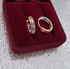 Auskarai rinkutės balto geltono paauksavimo